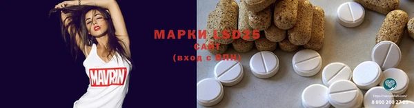 ECSTASY Белокуриха